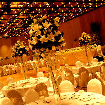 Illuminated Event Hire