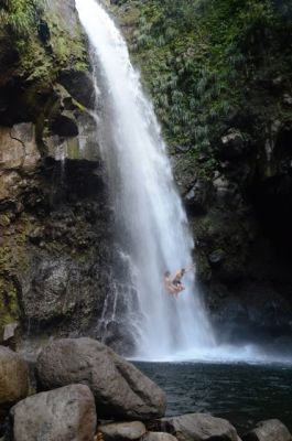 CLIMATE ACTIVIST/ VOLUNTEER NEEDED IN THE CARIBBEAN