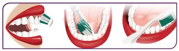Regular Dental Hygiene in Blackburn by Healthy Smiles