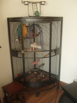 Talkative Pair Of Blue & Gold Macaw Parrots Avalable.