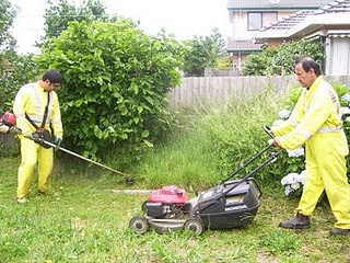 LAWN MOWING , GARDEN CARE SERVICE IN CAMBERWELL, CAULFIELD, MALVERN : 0478156828