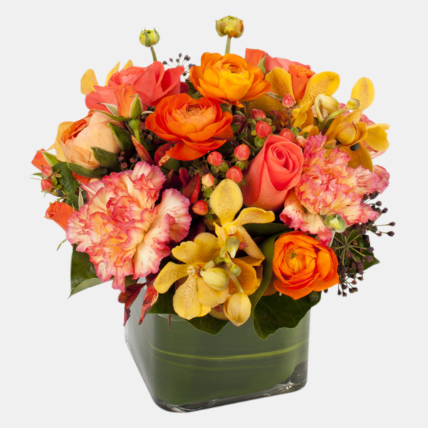 French Flowers – Same Day Flowers Delivery throughout Brisbane