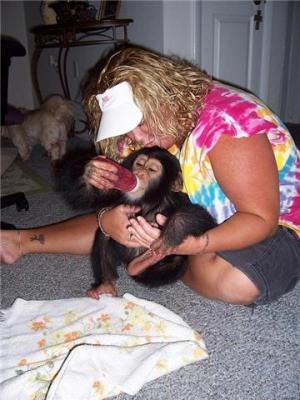  BABY CHIMPANZEE AVAILABLE NOW FOR SALE