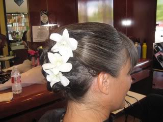 Factory Wholesale Top Quality Various Lengths 100%