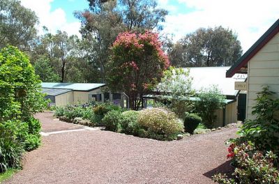 Sparrows in the Treetop - The perfect Solution for Pet Boarding