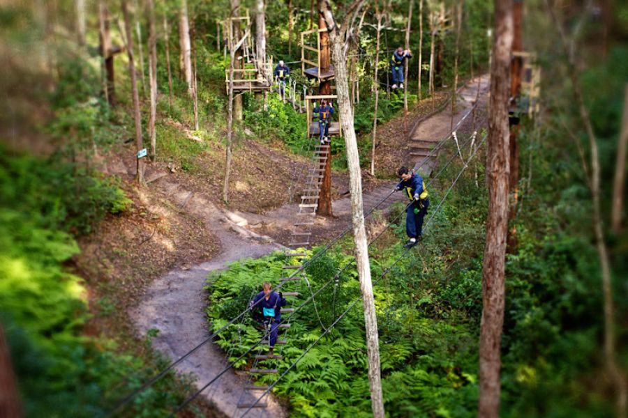 TreeTop Challenge - Gold Coast