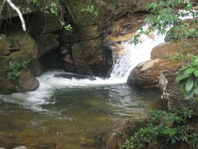 ECOLOGICAL SANCTUARY IN BRAZILIAN SAVANNA