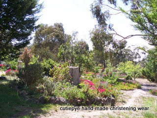 40 acre farm with house goulburn area 440,000