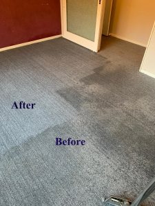 Cheap Cleaning Sydney