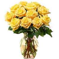 Cash on the sizzling celebrations with exciting gift items