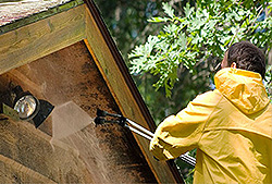 Best House washing and building cleaning services in Brisbane