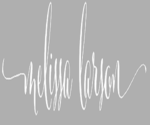 Melissa Larson Photography