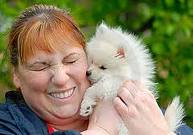 Male and Female Gorgeous Teacup  Pomeranian Puppies Available Now!!!!