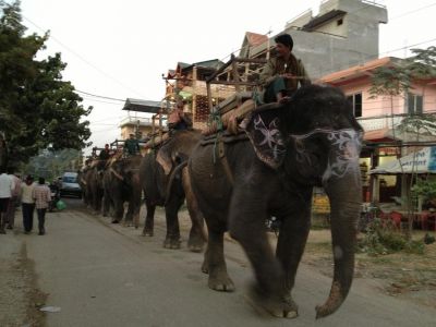 Volunteer in the Sauraha daycare centre 