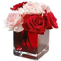 You have a floral blitz for your treasured eves