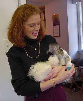 cute and adorable baby monkeys for adoption