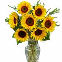 Stunning gifts to beguile the candid memories