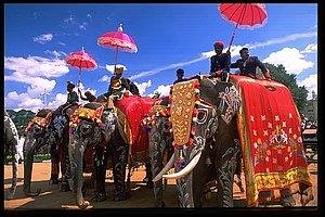 Tour Packages to India