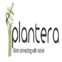 Plantera