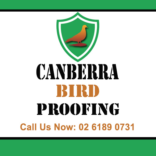 Canberra Bird Proofing