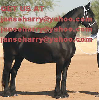 Beautiful Color, Smooth Ride