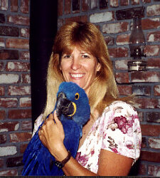 2 Year Old Hyacinth Macaw Needs A Home.