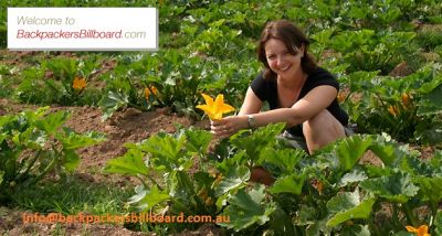 Travelling around Australia has never been easier!