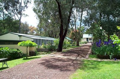 The best place to leave your loving pets