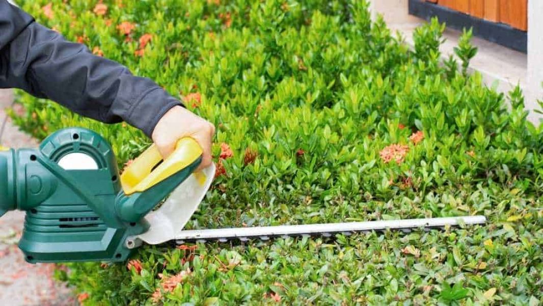 Landscapers Toowoomba