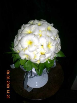 Prestige Bali Wedding - Bali Wedding, Indonesia