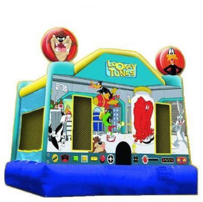 Party Hire Jumping Castles