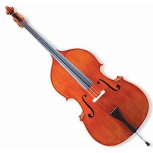wholesaleviolin.com online wholesale electric jinyin guitar electric violin double bass free shippin