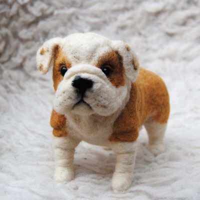 delightful and playful male and female english bulldog puppies for caring homes