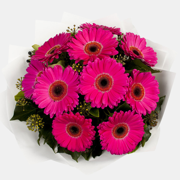 French Flowers – Same Day Flowers Delivery throughout Brisbane