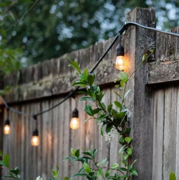 Festoon Lighting Adelaide