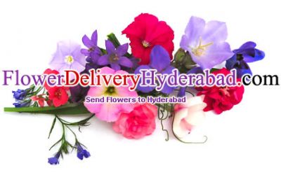 Beautiful creations of nature for your beautiful terms  