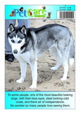 New digital pet care magazine( a must for all pet lovers)