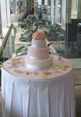 Wedding Cakes from only $99 single tier Lindt chocolate & fruit