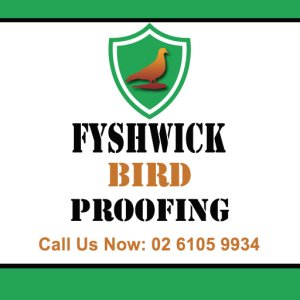 Fyshwick Bird Proofing