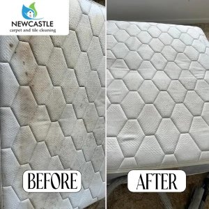 Newcastle Carpet & Tile Cleaning