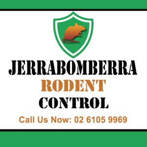 Jerrabomberra Rodent Control