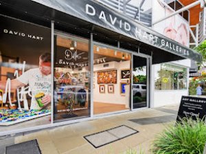 David Hart Galleries